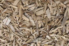 biomass boilers Trenay
